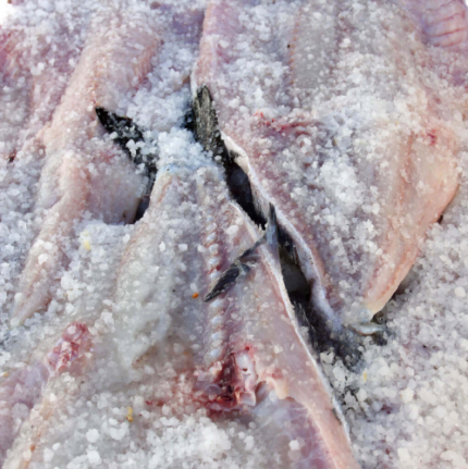 Fishery Salt